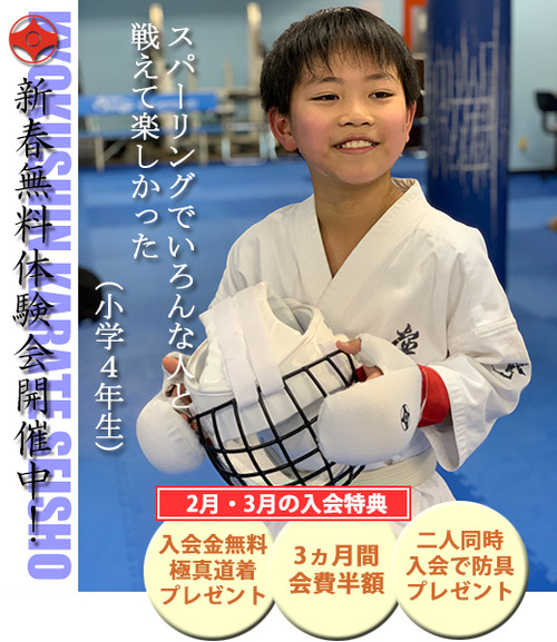 空手 防具 セット ジュニア用 小学生 子供 極真空手 空手着 子供 空手衣 大人 3点セット 空手道衣 柔道着 授業用