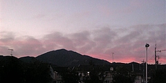 Image302