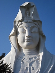 kannon7c