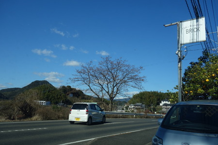 1-¥¨¥Ú¥Ö¥ê¥Ã¥¯DSC09011