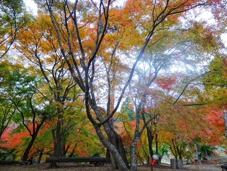 8-DSC00367
