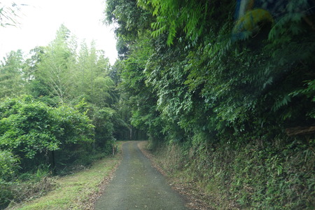 7−諫早市森山町 恵あじさい園DSC02684
