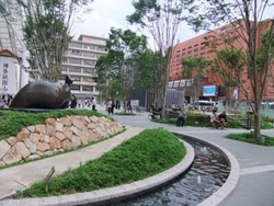 ha-4DSCF2998