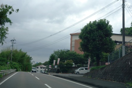 2-¤¯¤¹¤ÎÌÚDSC09939