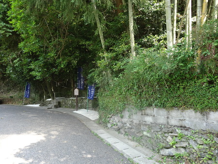16-DSC02730