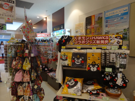 4-DSC01167