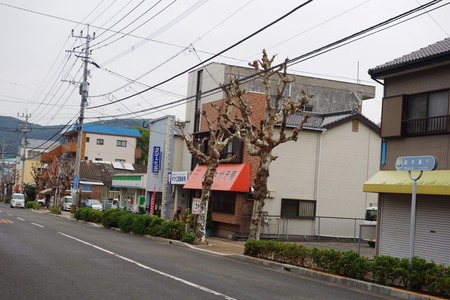 2-油木町 通りDSC09556