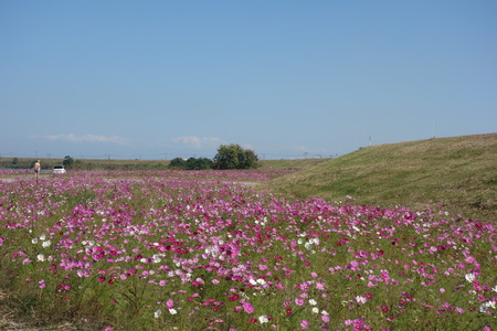 5-DSC00527