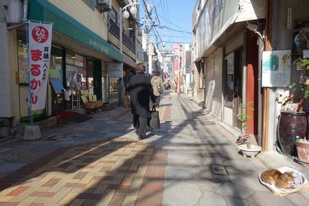2−中通りDSC00896