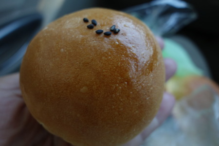 11−ペルルDSC07364