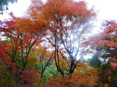 9-DSC00370