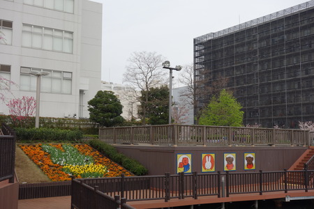 24-東品川海上公園DSC06548