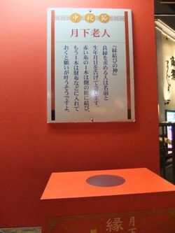 10-DSCF8629