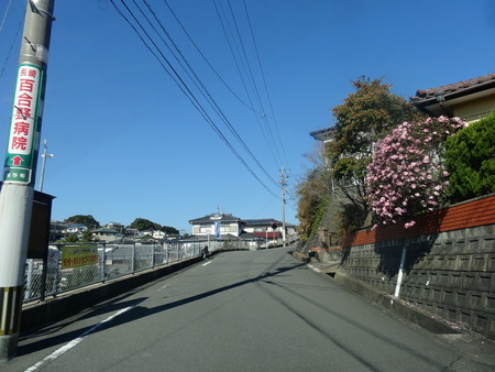 1-DSC01033