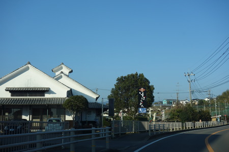 1−青ごしょうDSC07959-