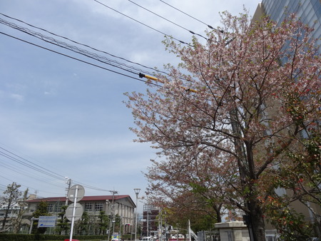 DSC09617