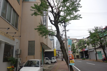 1-¥Ê¥¬¥»DSC00563