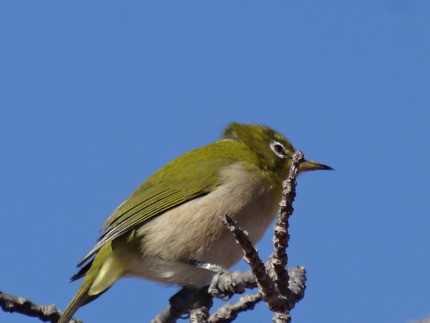 12-諫早公園DSC01062