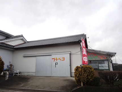 3-プチペコDSC08951