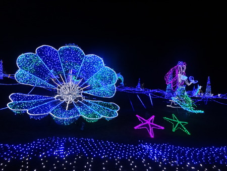 18-DSC01753