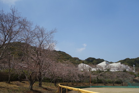 2-諫早市営球場DSC00991