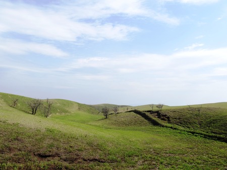 2-DSC00220