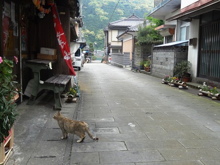 15-DSC01921
