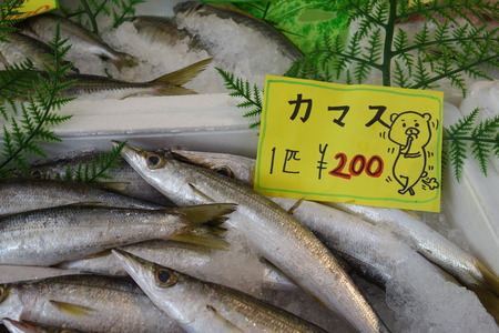 11−竹野鮮魚DSC09722