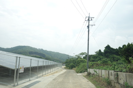 20−諫早市森山町 恵みあじさい園DSC02748