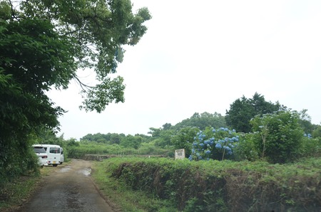 9−諫早市森山町 恵あじさい園DSC02687