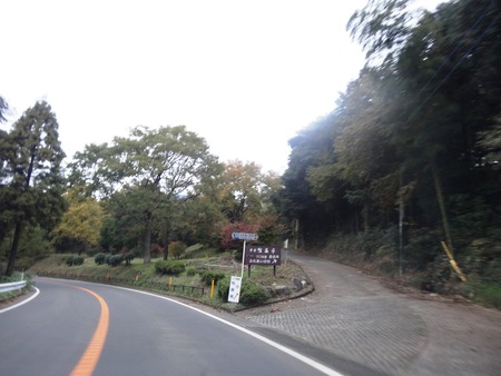 20-DSC00424