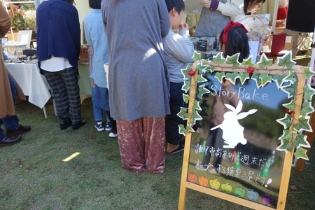 15-¥Ô¥¯¥Ë¥Ã¥¯¥Þ¥ë¥·¥§DSC08186-