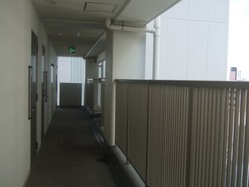 ho-3DSCF3084