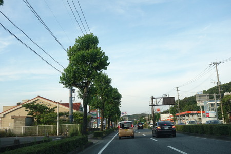 1-ポムの樹DSC09850