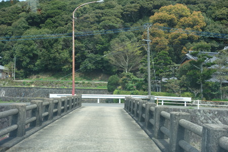 12-大村市鈴田峠千本桜DSC05926