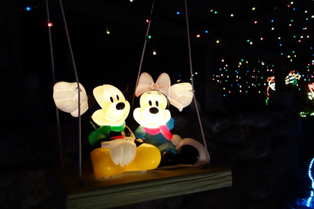 20-DSC04295