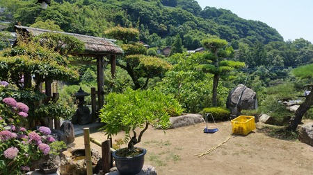 10-里山かわしも20170618_113758