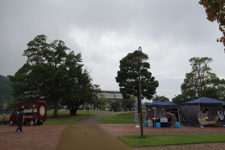 4-DSC07632