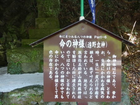 17-DSC02728