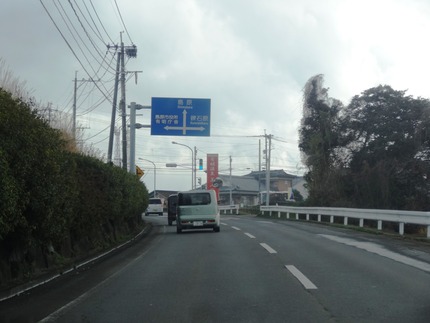 1-プチペコDSC08947