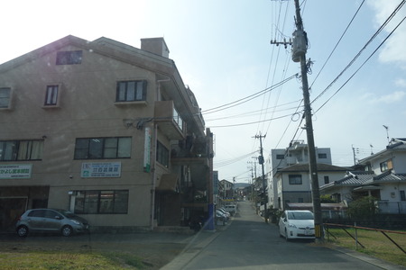 3−長崎市うえきDSC09942