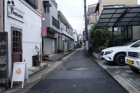 1-ペシコDSC02386