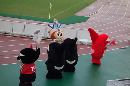 20-DSC04058