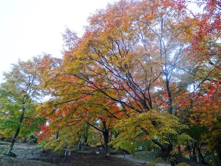 17-DSC00399