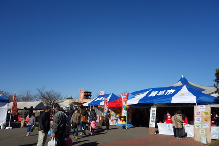 7-DSC04357