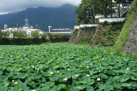 9-島原城DSC00428