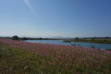 1-DSC00511