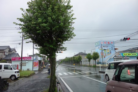 1-¥«¥Õ¥§¡¡¥¨¥ë¥âDSC02587