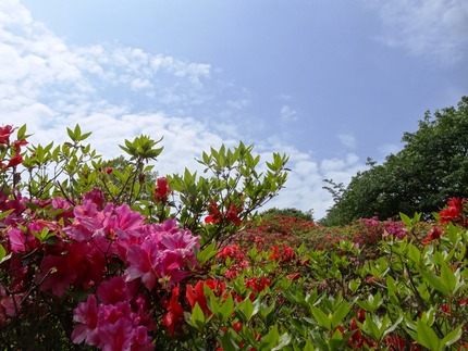 4-稲佐山DSC08765