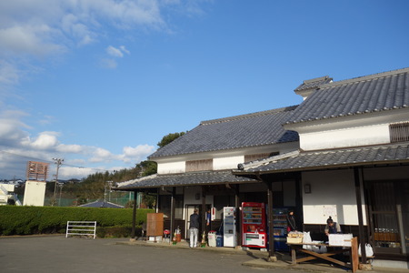 5−青ごしょうDSC07824